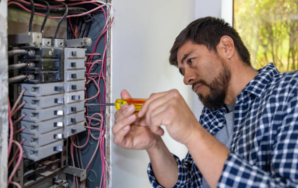 Best Generator Installation Services  in Breckenridge, MI